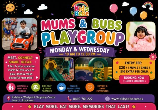 Mums & Bubs Playgroup in Blacktown